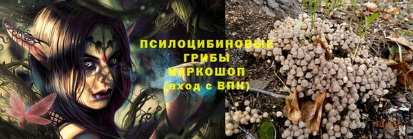мяу мяу мука Арсеньев