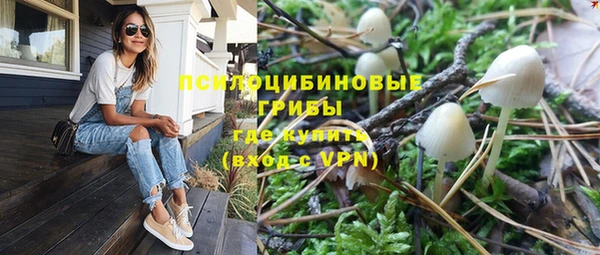 прущие крисы Армянск