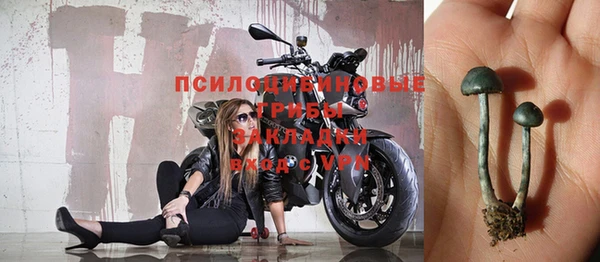 герыч Аркадак