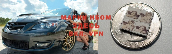 гашик Осинники