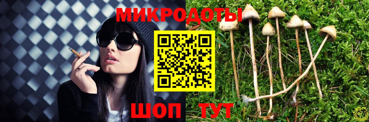 Галлюциногенные грибы Psilocybine cubensis  Вход с VPN  Полысаево  Псилоцибиновые грибы Psilocybe 