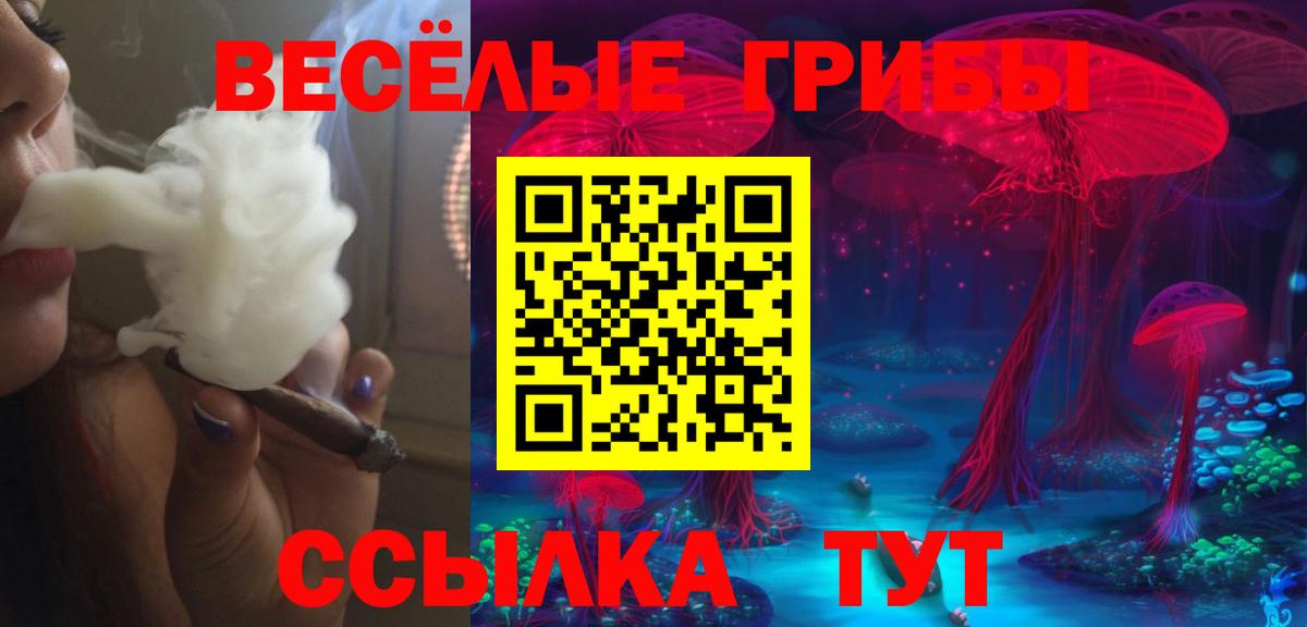 Псилоцибиновые грибы Psilocybine cubensis Полысаево